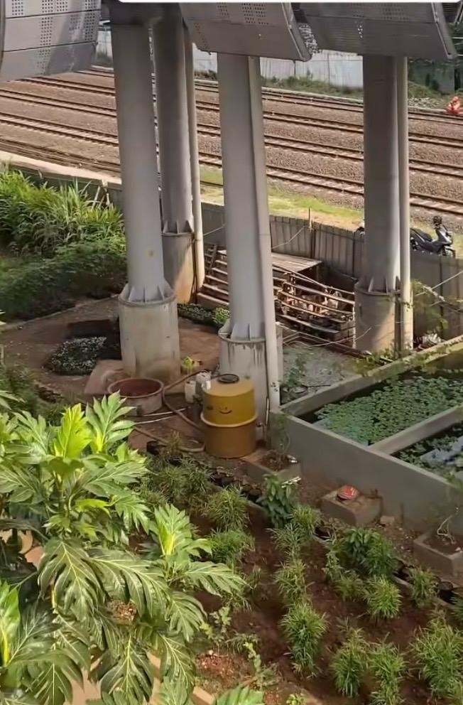 Berkebun di Bawah JPO JIS