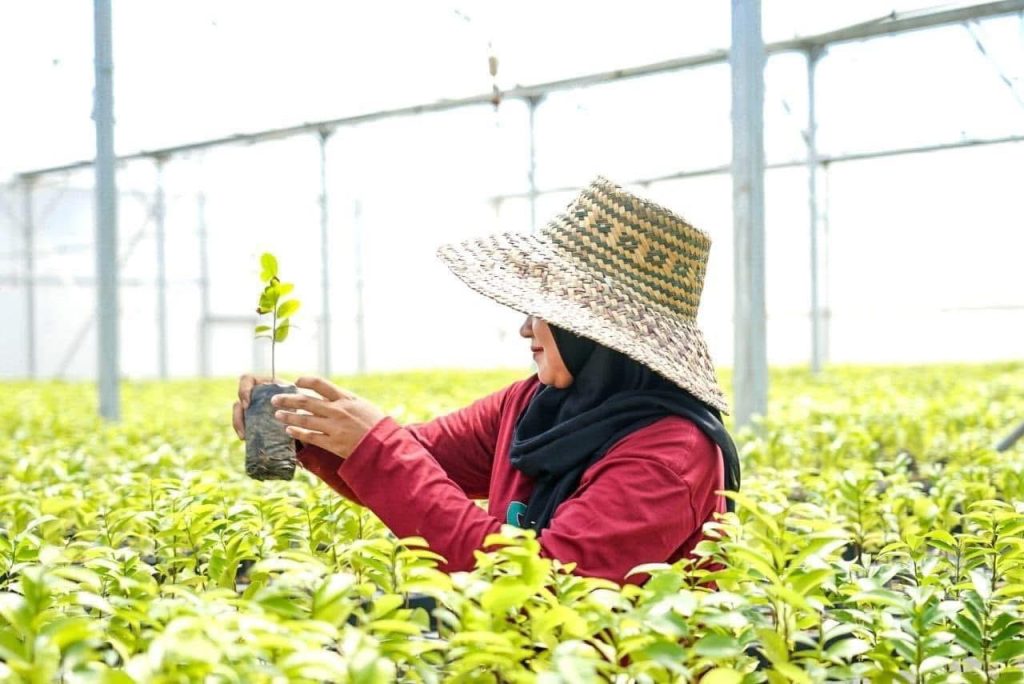Sedekah yang Terus Bertumbuh